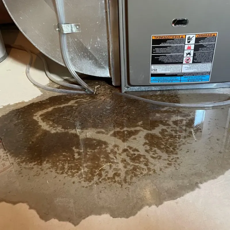 Pipe Burst and Leak Restoration in Fairdale, PA