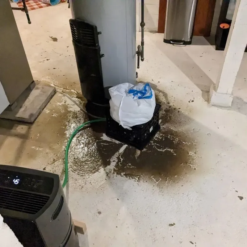 Sewage Backup Cleanup Service in Fairdale, PA